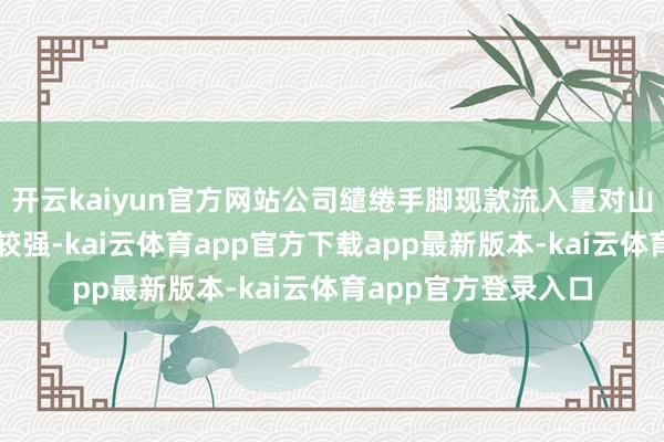 开云kaiyun官方网站公司缱绻手脚现款流入量对山石转债的保险进度较强-kai云体育app官方下载app最新版本-kai云体育app官方登录入口