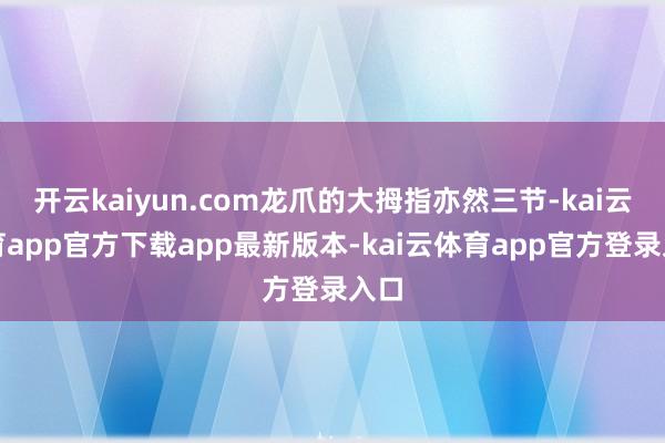 开云kaiyun.com龙爪的大拇指亦然三节-kai云体育app官方下载app最新版本-kai云体育app官方登录入口