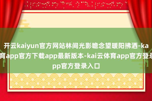 开云kaiyun官方网站林间光影瞻念望暖阳拂洒-kai云体育app官方下载app最新版本-kai云体育app官方登录入口